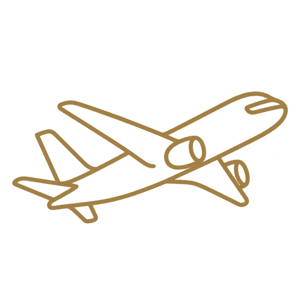 after-flight-recovery-treatment-icon